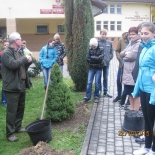 miniaturka wpisu aktualności