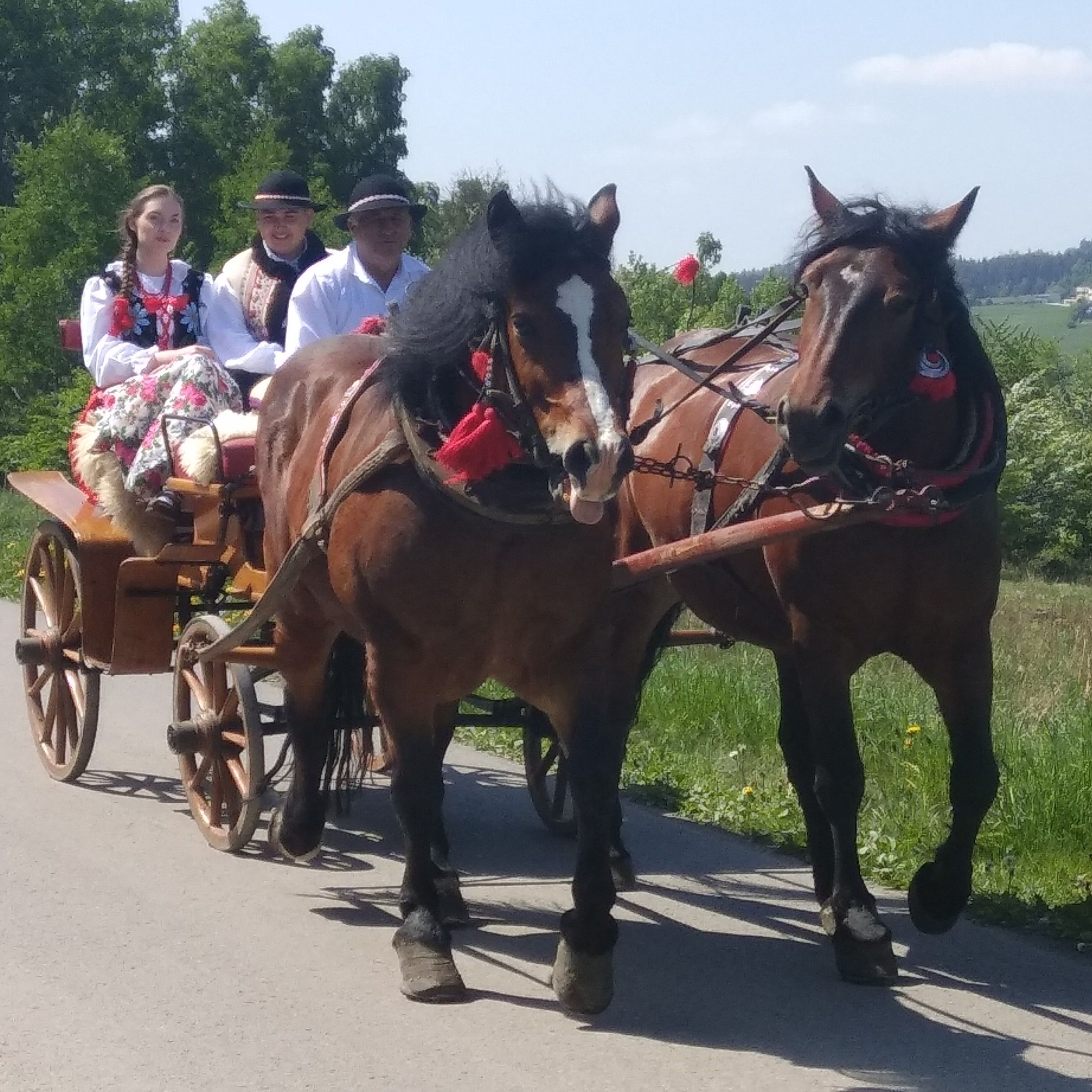 miniaturka wpisu aktualności