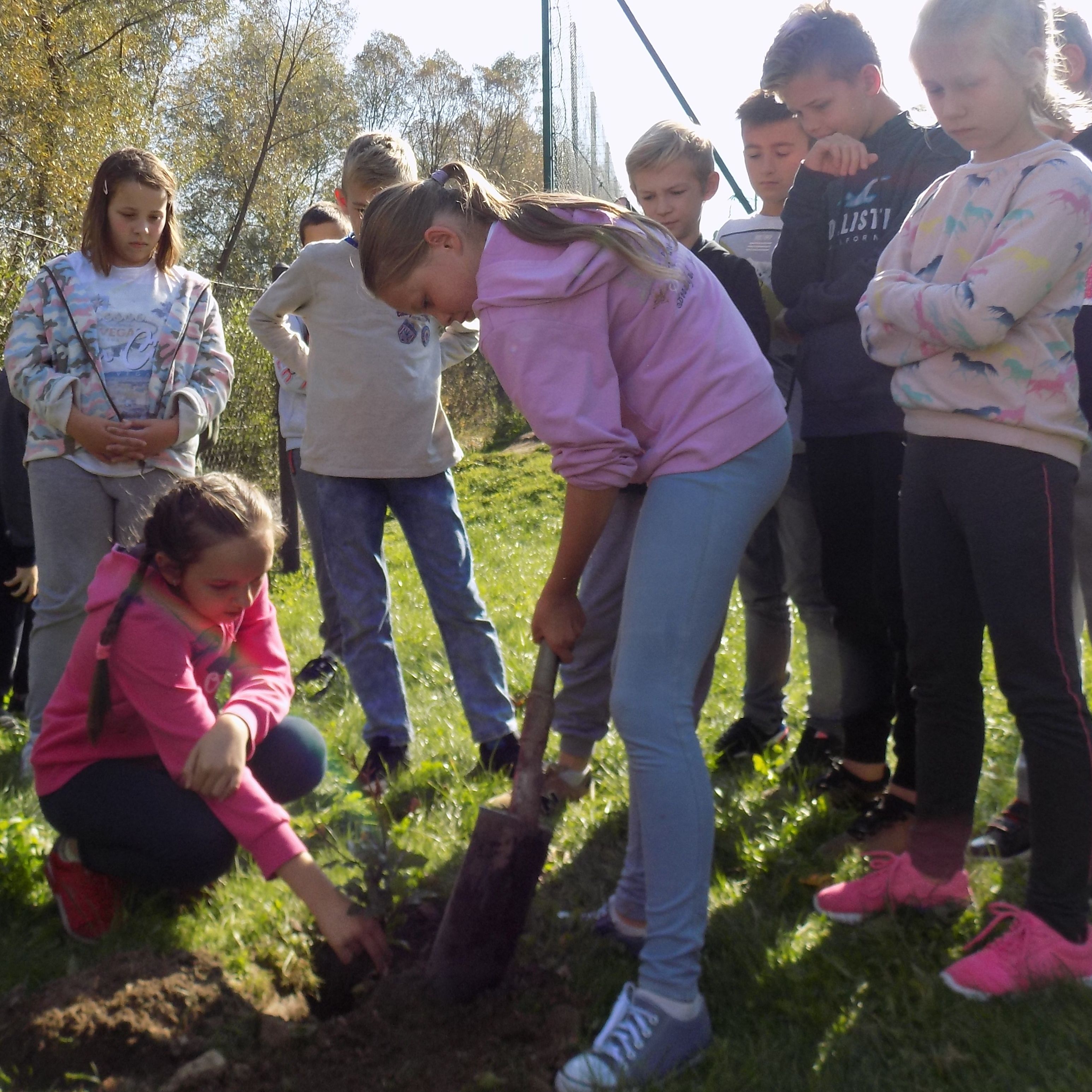 miniaturka wpisu aktualności